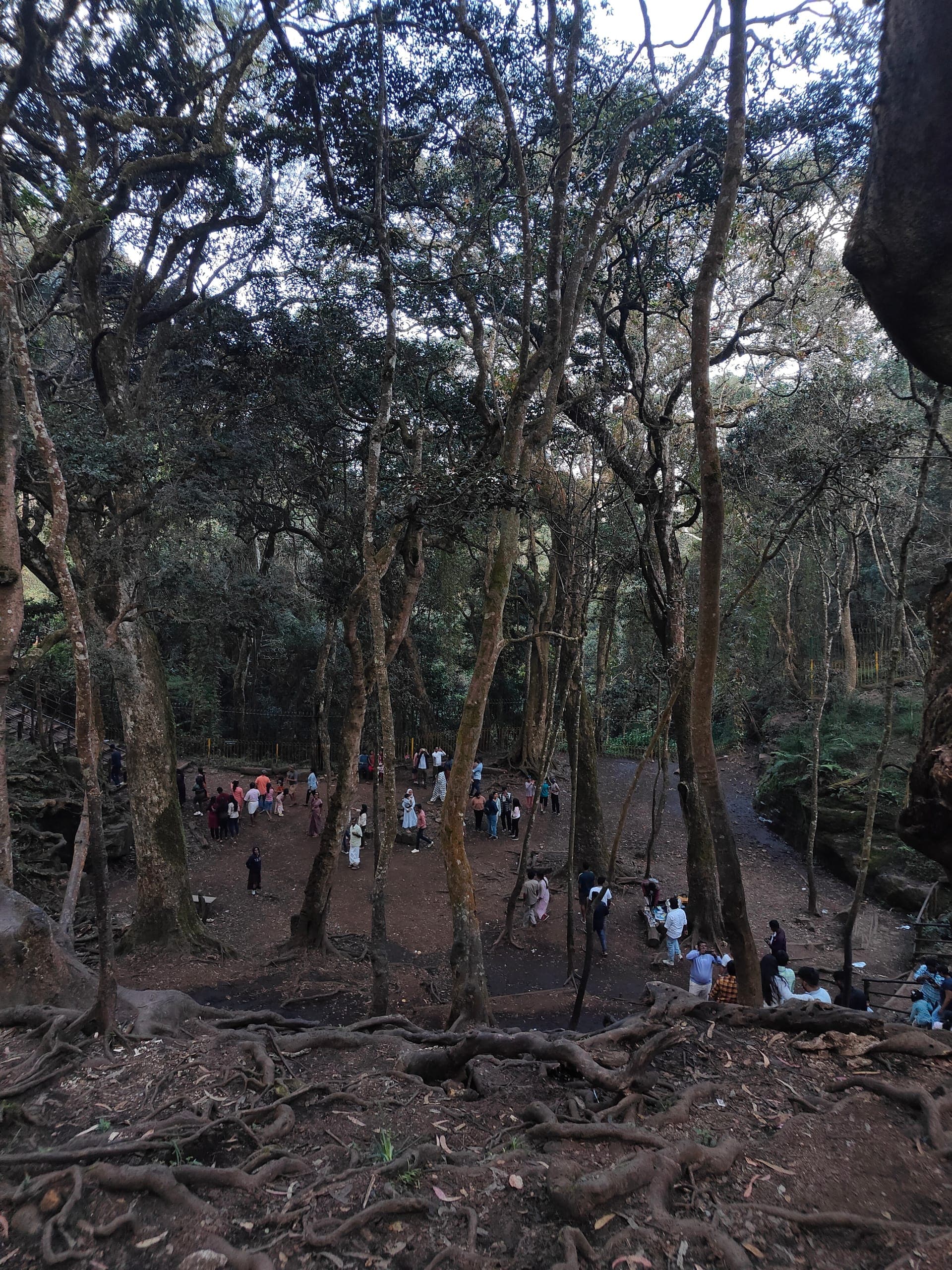 Kodaikanal Travel Guide: Princess of Hill Stations cover image 2