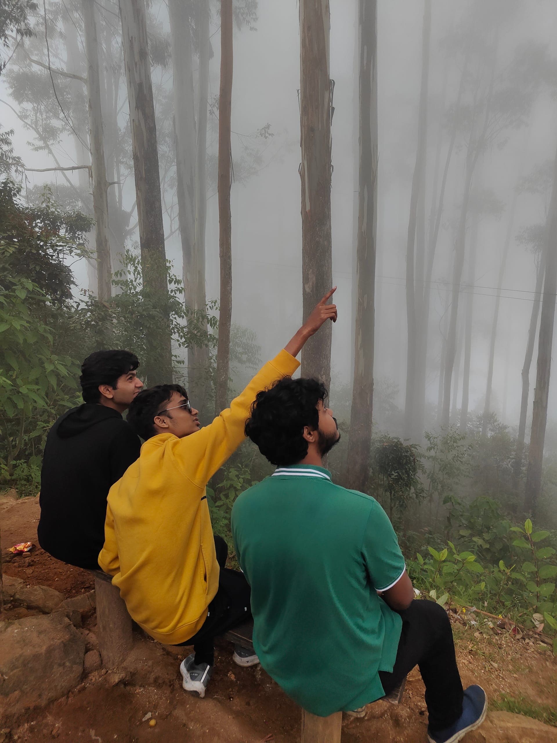 Kodaikanal Nature Escape case study image 3
